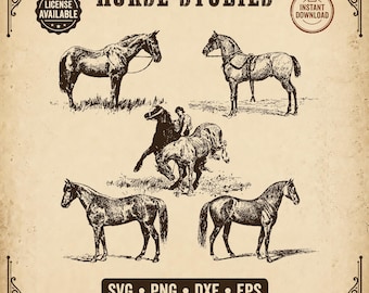 Paquete de SVG de caballos con 5 diseños: imágenes prediseñadas de caballos vintage, caballos de pie, vaqueros, PNG, equitación, rancho occidental, DXF, EPS, Cricut, sublimación.