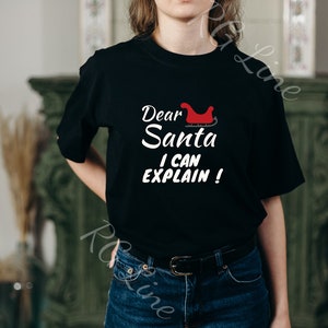 Santa Funny Tshirt, Sledge Humor Tee, I Can Explain Shirt, Naughty Christmas Gift, Christmas Humor Shirt, Sledge Humor Tee