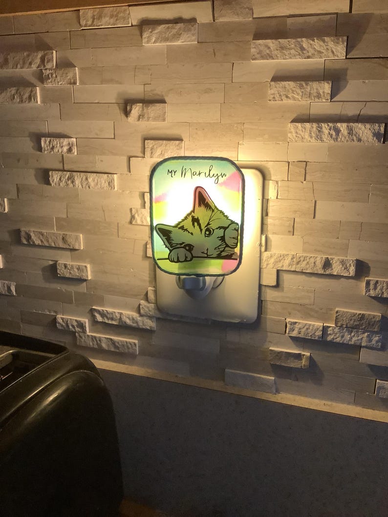 Cool Cat Nightlight kitten Etsy