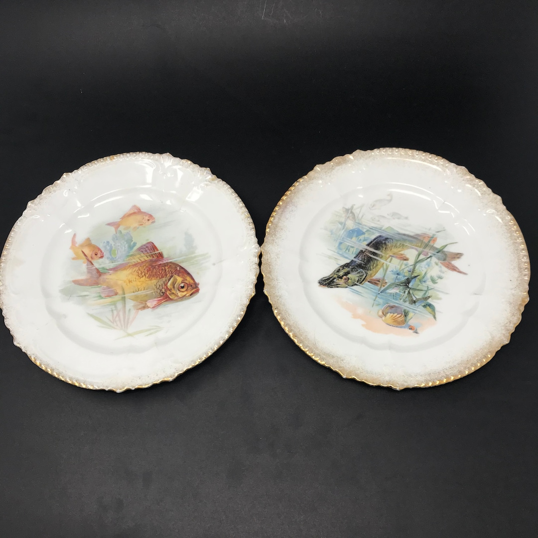 Set of 2 Vintage Plates With Fish Graphics Pike 8.5 Inches Etsy
