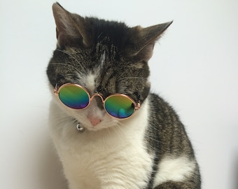 Cat sunglasses, pet-accessory, cat costume, kitty, fashion, instagram, small pet, circular, 90s, cool pet, rainbow