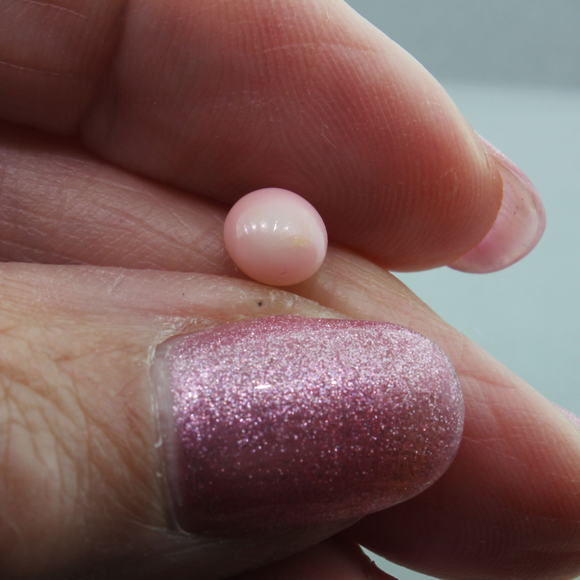 Pink Conch Pearl Rare Queen Conch Pearl Natural Appraisal Etsy