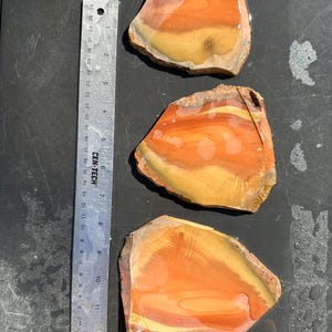 Bruneau Orbicular Jasper Slabs: Idaho Gemstone Cabochon Lot