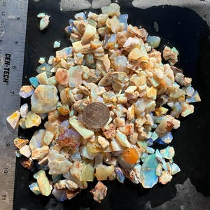Könnte beinhalten: Eine Sammlung roher Opal-Edelsteine in verschiedenen Größen und Farben, darunter Weiß, Blau, Orange und Braun. Eine Münze dient zum Größenvergleich. Ein Lineal ist auf der linken Seite des Bildes zu sehen.