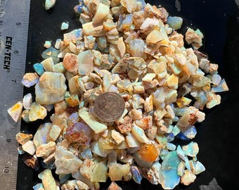 Puede incluir: Una colección de piedras preciosas de ópalo en bruto de varios tamaños y colores, incluyendo blanco, azul, naranja y marrón. Se coloca una moneda entre las piedras para comparar el tamaño. Una regla es visible en el lado izquierdo de la imagen.