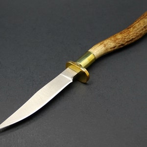 May include: A small, single-blade pocket knife with a brown antler handle and a brass bolster. The blade is closed and the knife is lying on a black surface.