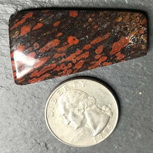 Red Dino Bone Cabochon: Fossilized Utah Gemstone Pendant (40x21mm)