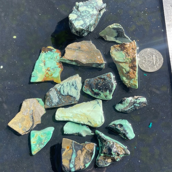 uncut New Lander turquoise lot, uncut New Lander variscite parcel 600 carats, green turquoise lot, wholesale turquoise for cabbing