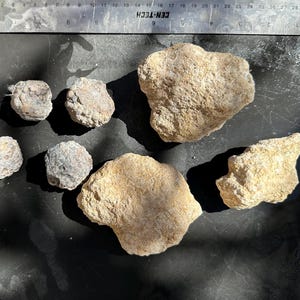 Unopened Geodes Lot: Break Your Own Quartz Crystals - 7pc Parcel