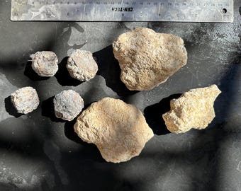 メキシコ産の天然ジオード（ご自身で割ってください）中空であることを
