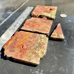 Puede incluir: Cuatro piezas de &aacute;gata roja, naranja, verde y marr&oacute;n con un patr&oacute;n de remolino. La &aacute;gata est&aacute; rota en formas irregulares.
