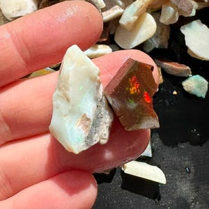 K&ouml;nnte beinhalten: Nahaufnahme von zwei rohen Opal-Edelsteinen. Einer ist hellcremefarben mit Andeutungen von Blau und Gr&uuml;n, der andere ist dunkelbraun mit leuchtenden roten, orangen und gr&uuml;nen Blitzen. Die Edelsteine werden in einer Hand gehalten.