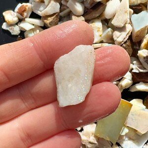 K&ouml;nnte beinhalten: Eine Hand h&auml;lt einen kleinen, rauhen, wei&szlig;en Stein mit schillernden Flecken. Der Stein ist von einer Vielzahl anderer kleiner, unregelm&auml;&szlig;ig geformter Steine in Wei&szlig;-, Braun- und Gelbt&ouml;nen umgeben.
