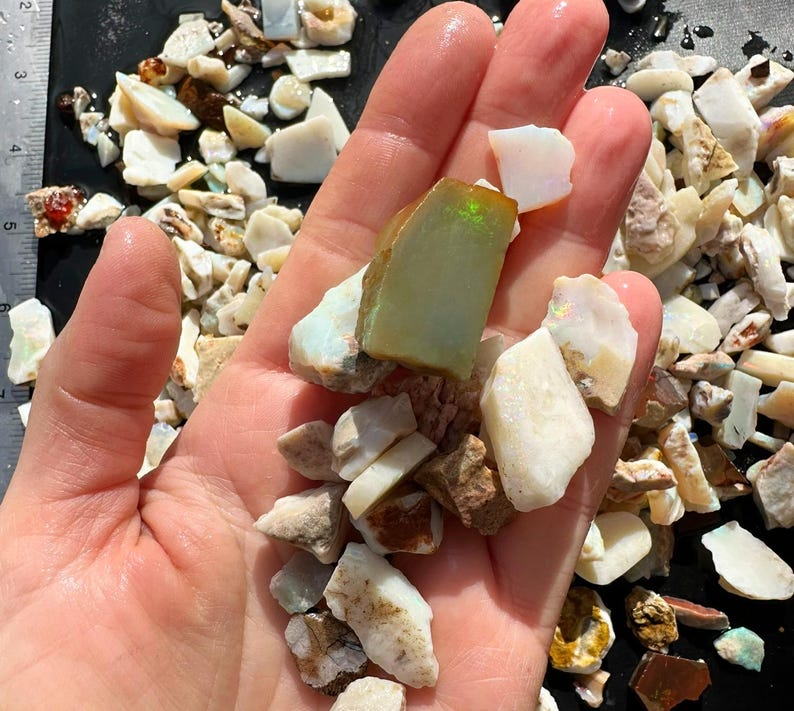 K&ouml;nnte beinhalten: Eine Hand h&auml;lt eine Sammlung roher Opal-Edelsteine. Die Opale variieren in Gr&ouml;&szlig;e und Farbe, mit Schattierungen von Wei&szlig;, Creme, Braun und Gr&uuml;n. Einige Steine haben einen schimmernden, irisierenden Charakter.