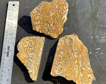 3 piece Leopard Jasper slabs parcel, Leopard skin gemstone slices, Lapidary rough for cutting