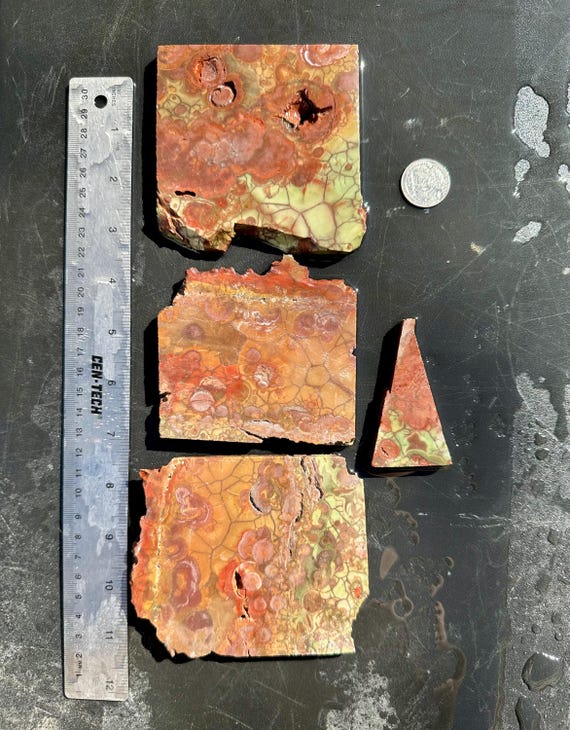 Oregon Spiderweb Jasper Parcel: Lapidary Rough, Cabochon Cutting