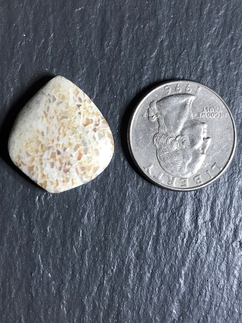 White dino bone cabochon rare gemstone cab white dinosaur | Etsy