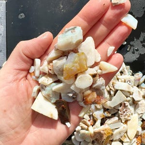 K&ouml;nnte beinhalten: Nahaufnahme einer Handvoll roher Opal-Edelsteine in verschiedenen Formen und Gr&ouml;&szlig;en. Die Opale zeigen eine Mischung aus milchigem Wei&szlig;, durchscheinenden und goldenen Farbt&ouml;nen. Einige St&uuml;cke weisen ein leichtes Schillern auf.