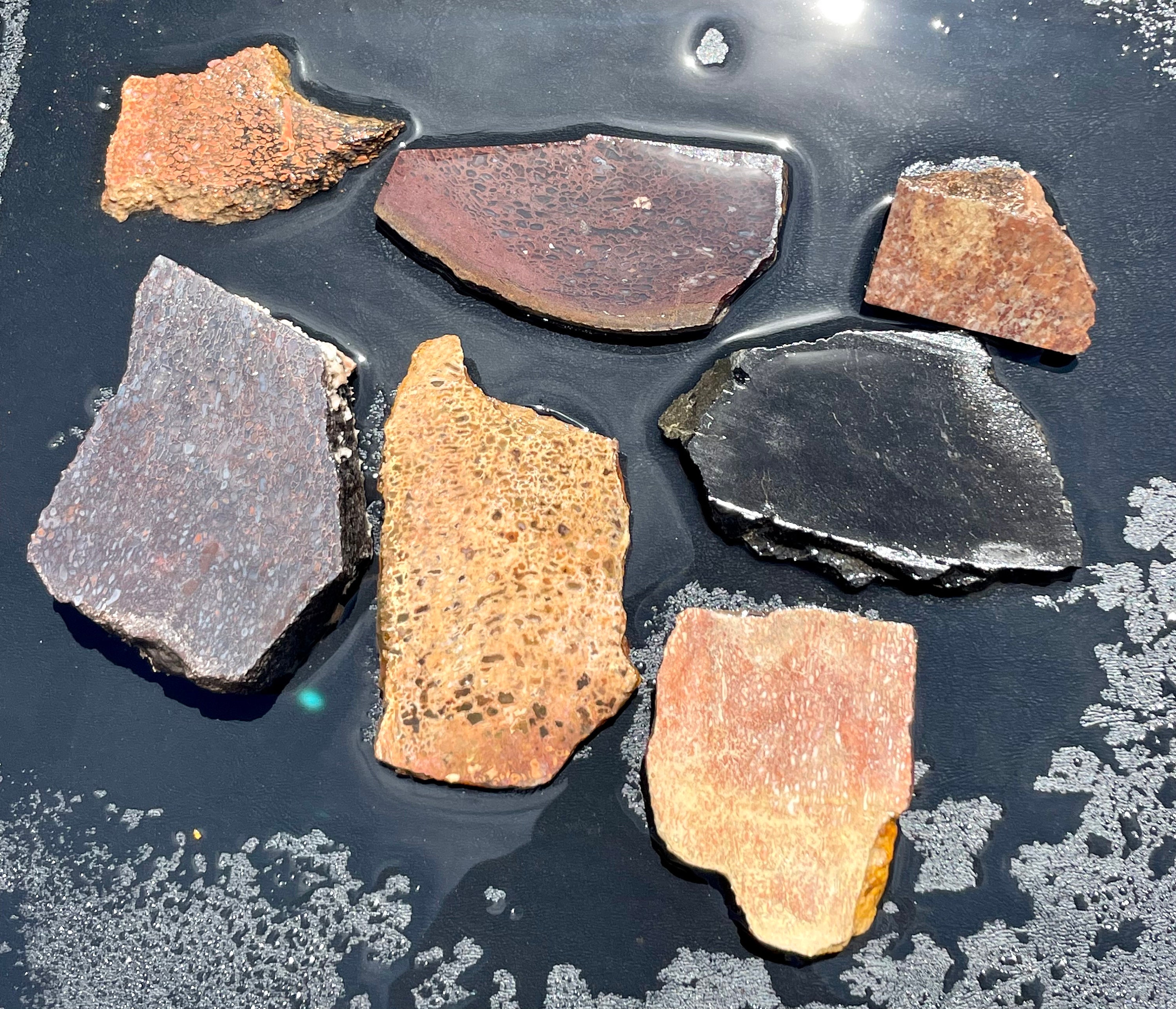 real agatized dino bone 7 piece parcel, uncut dinosaur bone lot, fossilized dino bone, rare Utah gemstones, uncut gemstone lot, gift for him