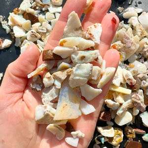 K&ouml;nnte beinhalten: Eine Handvoll roher Opal-Edelsteine in verschiedenen Formen und Gr&ouml;&szlig;en. Die Opale zeigen eine Reihe von Farben, darunter Wei&szlig;, Creme, Braun und Andeutungen von Blau und Orange. Die Edelsteine sind grob geschnitten und scheinen nat&uuml;rlich zu sein, f&uuml;r die Schmuckherstellung.