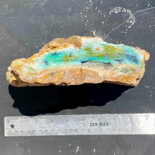 large blue opal petrified wood piece, rough opalized wood over 4 lbs, rare Indonesian blue wood opal gemstone for cabbing, lapidary gift