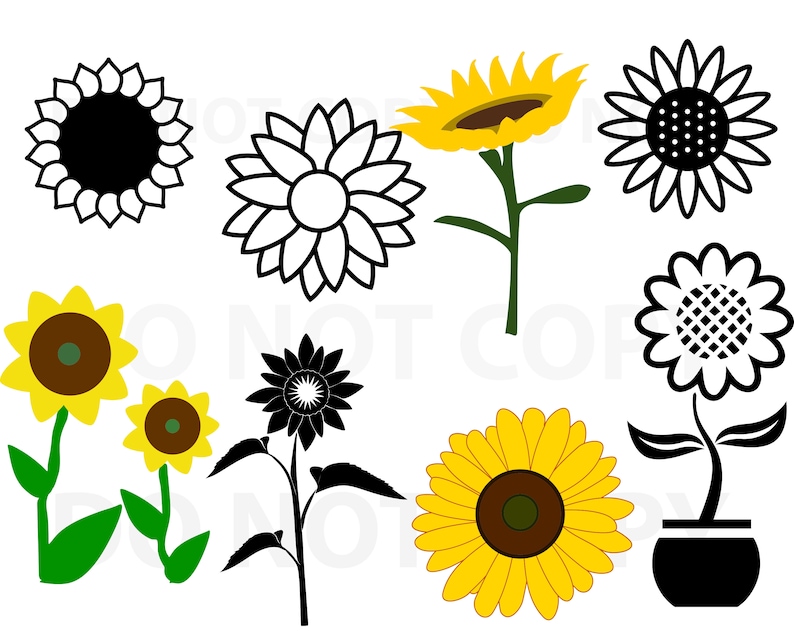 Free Free 348 Realistic Sunflower Cricut Sunflower Svg SVG PNG EPS DXF File