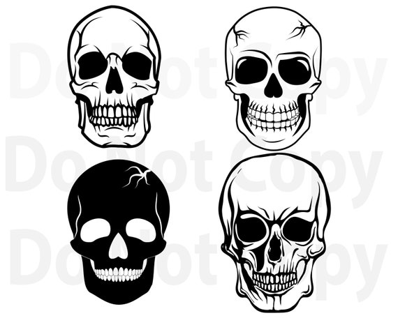 Download Skull Svg Bundle Skulls Svg File For Cricut Human Skull Design Elements Vector Image Clip Art