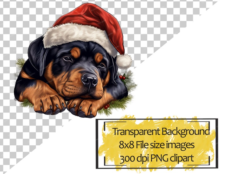 K&ouml;nnte beinhalten: Ein Rottweiler-Welpe mit einem roten Weihnachtsmann-Hut mit wei&szlig;em Besatz, der schl&auml;frig aussieht, mit dem Kopf auf seinen Pfoten ruhend. Der Welpe ist von gr&uuml;nen Kiefern&auml;sten und roten Beeren umgeben.