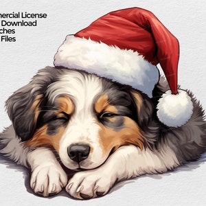 May include: A digital illustration of a sleeping dog wearing a Santa hat. The dog has black, brown, and white fur. The Santa hat is red with a white trim. The image is a digital download, 8x8 inches.