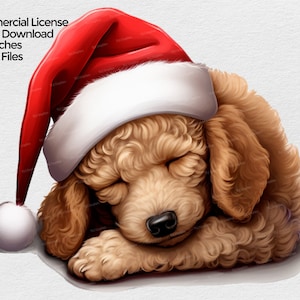Sleeping Poodle Puppy with Santa Hat clipart, Poodle dog Christmas PNG file, Mug Sublimation Clipart on transparent background