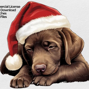 Sleeping Labrador Retriever with a Santa Hat  clipart, Labrador Christmas PNG file, Mug Sublimation Clip art on transparent background