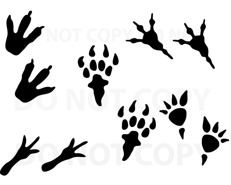 Dinosaur Footprint SVG Bundle Svg File for Cricut Design | Etsy Australia