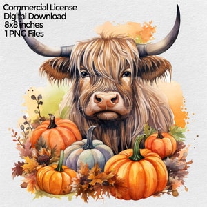 Herbst Highland Kuh mit Kürbissen Aquarell Clipart, Herbst Png Bild für Sublimation mit transparentem Hintergrund