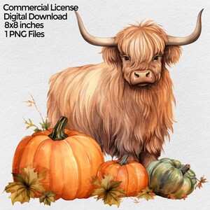 Highland Cow with Pumpkins Watercolor Clipart, Fall Png Image for Sublimation with transparent background