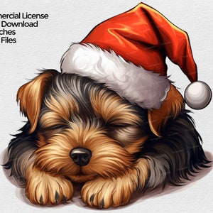 Schlafender Yorkie Welpe mit Weihnachtsmütze Clipart, Yorkshire Terrier Hund Weihnachten PNG-Datei, Becher Sublimation Clipart auf transparentem Hintergrund