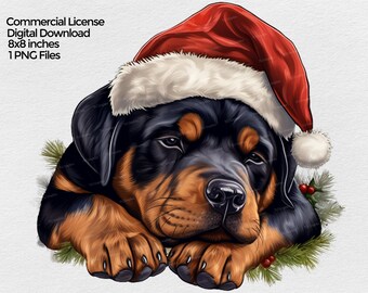 May include: A Rottweiler puppy wearing a red and white Santa hat, with a sleepy expression. The puppy is lying down with its head resting on its paws. The background is a white, textured surface with green pine branches and red berries.