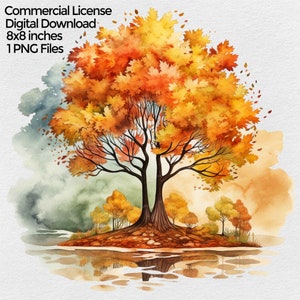 Fall Trees Png Clipart, Autumn Trees Png Images for Sublimation designs with transparent background, Fall Print digital download