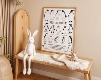 Penguin Species Watercolour Print | Educational Animal Art | Nursery Print