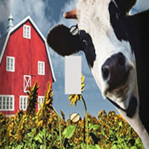 May include: A black and white cow with a red barn in the background. The cow is looking directly at the camera and has a field of sunflowers in front of it.