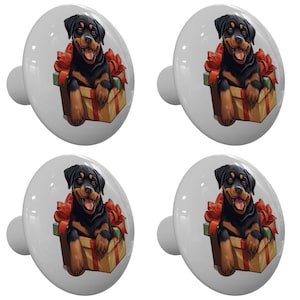 Puede incluir: Juego de cuatro pomos de armario de cerámica blanca. Cada pomo presenta un perro Rottweiler dentro de una caja de regalo con un lazo rojo. El perro es negro y marrón con una expresión feliz.