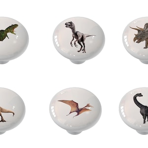 May include: Six white ceramic knobs with different dinosaur illustrations. The knobs are round and have a smooth, glossy finish. The dinosaurs are depicted in various poses, including standing, walking, and flying.
