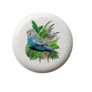 May include: A blue and green parakeet perched on a bed of lush green tropical leaves. The bird has a white head and a blue body with green markings.