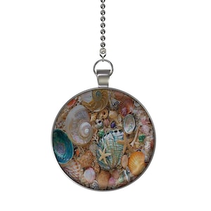 May include: A silver chain with a round pendant featuring a close-up image of a variety of seashells, including a starfish, on a sandy background.