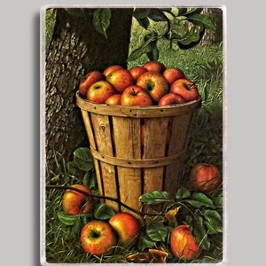 Country Apple Basket Refrigerator Magnet