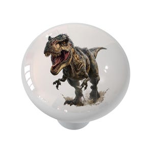 May include: A white, round cabinet knob featuring a detailed illustration of a Tyrannosaurus Rex. The dinosaur is depicted in shades of brown, green, and tan, with its mouth open, revealing sharp teeth. The knob has a glossy finish.