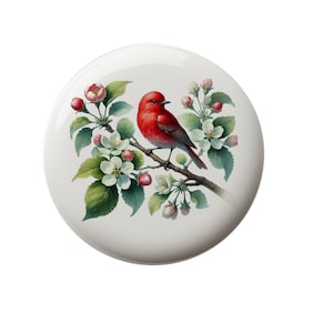 May include: A red bird perched on a branch with white blossoms and green leaves. The bird has a long tail and a pointed beak.