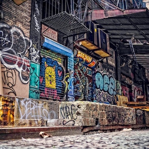 New York City Graffiti Alleyway Photo Print by Paul Brake, NYC photo, grunge, wall art, decor