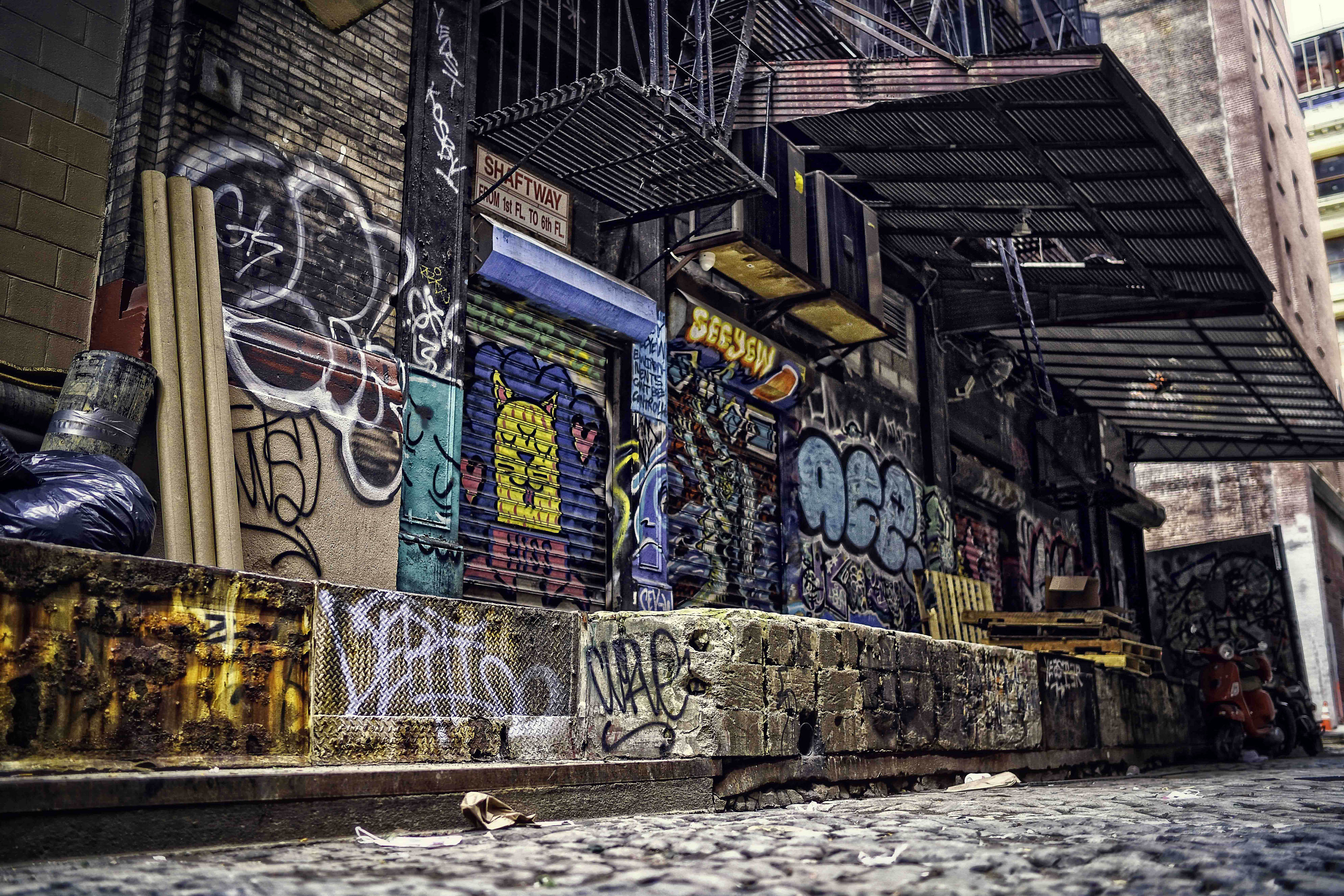 New York City Graffiti Alleyway Photo Print by Paul Brake, NYC