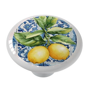 May include: Ceramic knob with a blue and white tile pattern featuring a branch of lemons with green leaves.