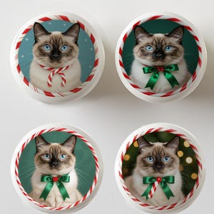 May include: Four white round ornaments featuring a Siamese cat with blue eyes. Each cat wears a festive accessory: a red and white candy cane scarf or a green bow. The ornaments are framed with a red and white candy cane border.
